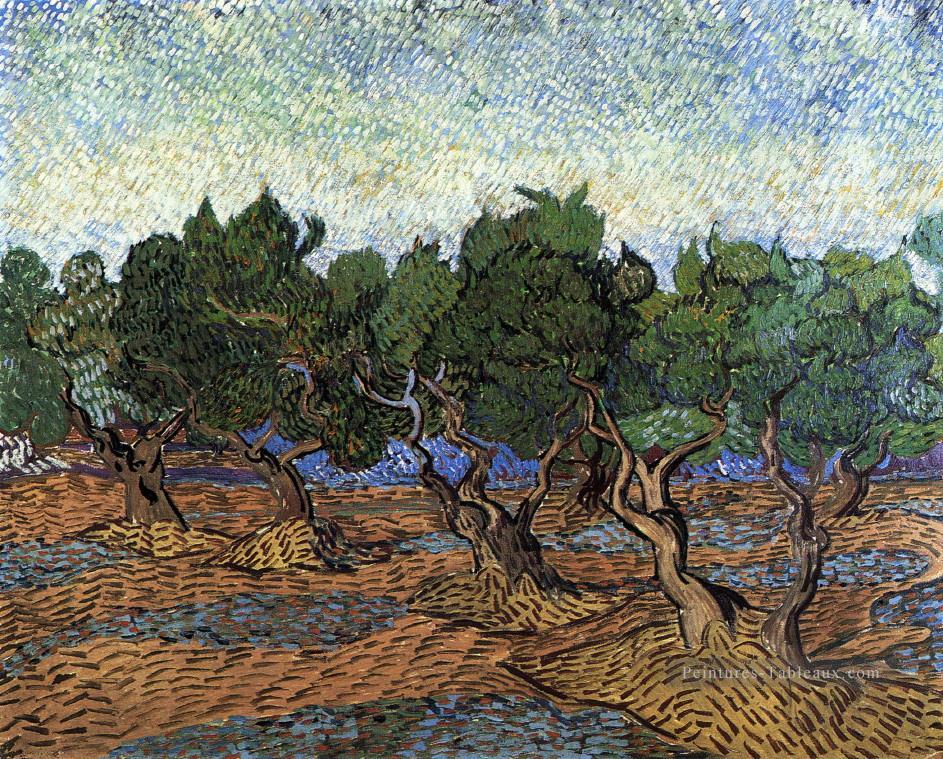 Oliveraie 2 Vincent van Gogh paysage Peintures à l'huile